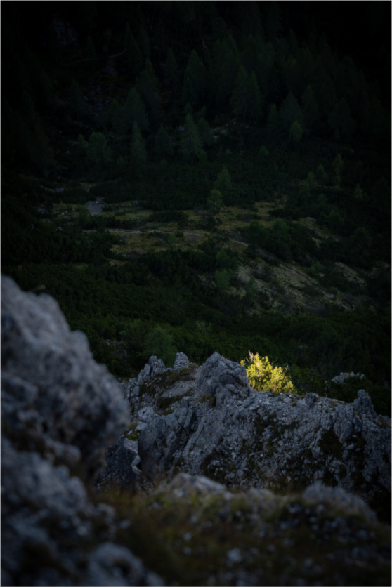 Morning Light – A New Beginning