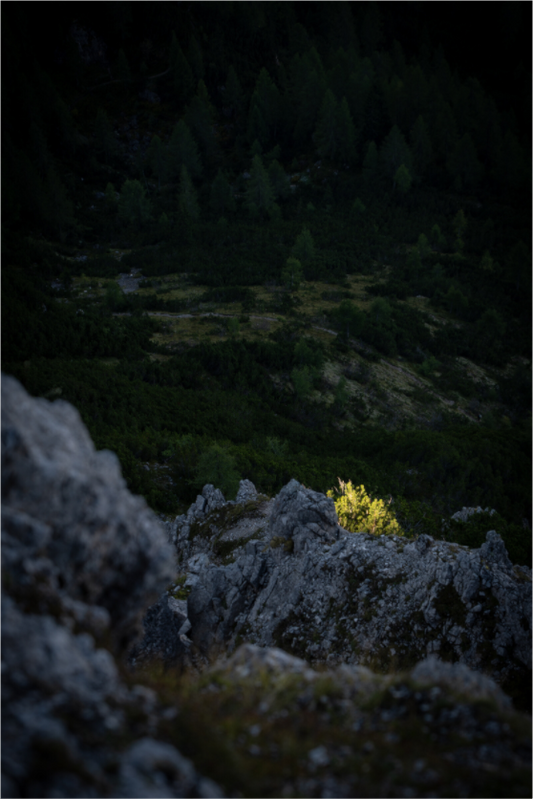 Morning Light – A New Beginning