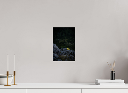 Morning Light – A New Beginning